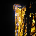 img_3771.jpg