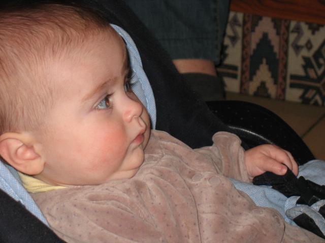 img_7367.jpg
