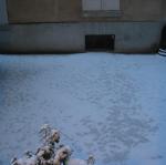img_3996.jpg