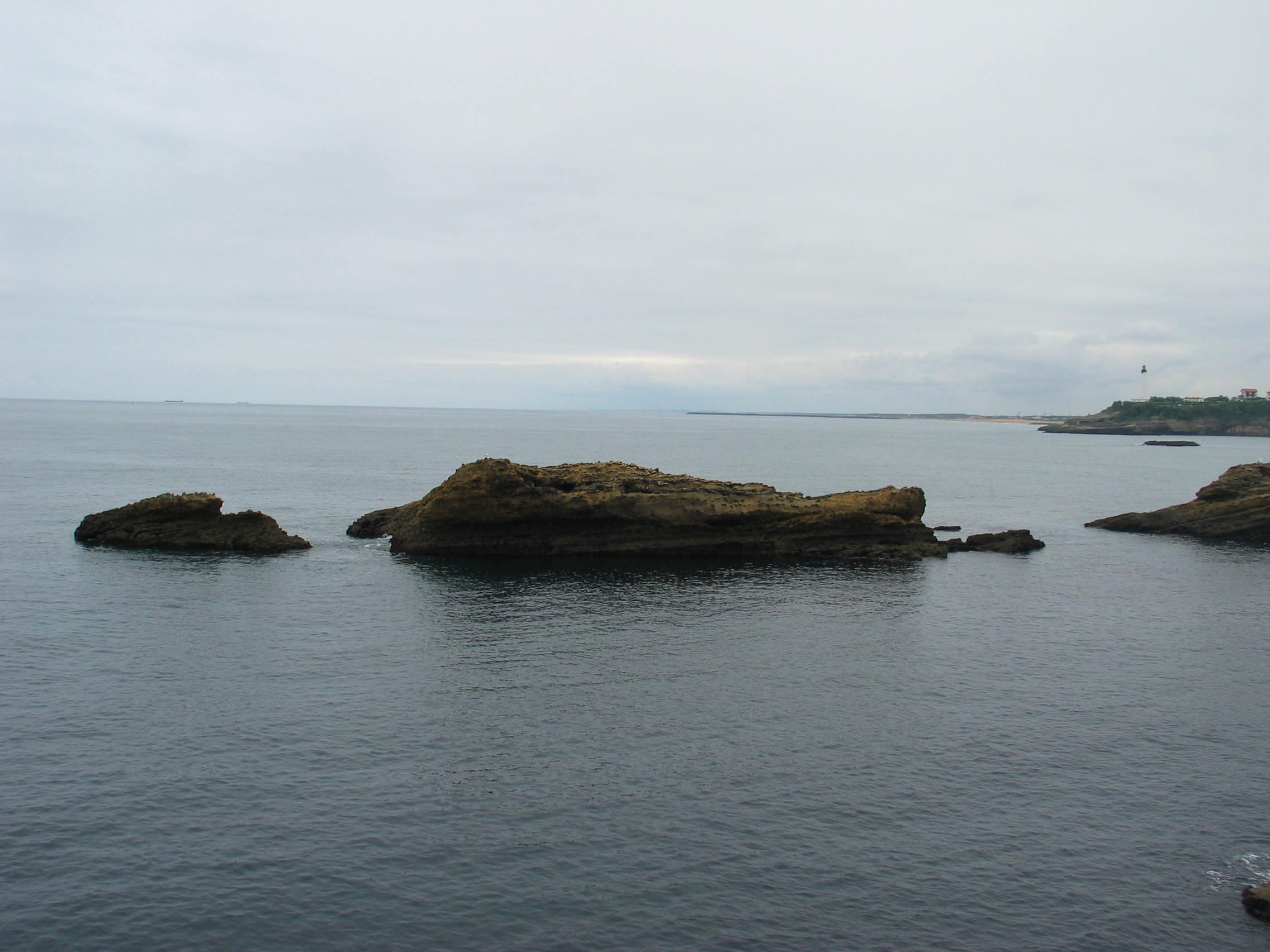 img_4701.jpg