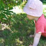 img_5687.jpg
