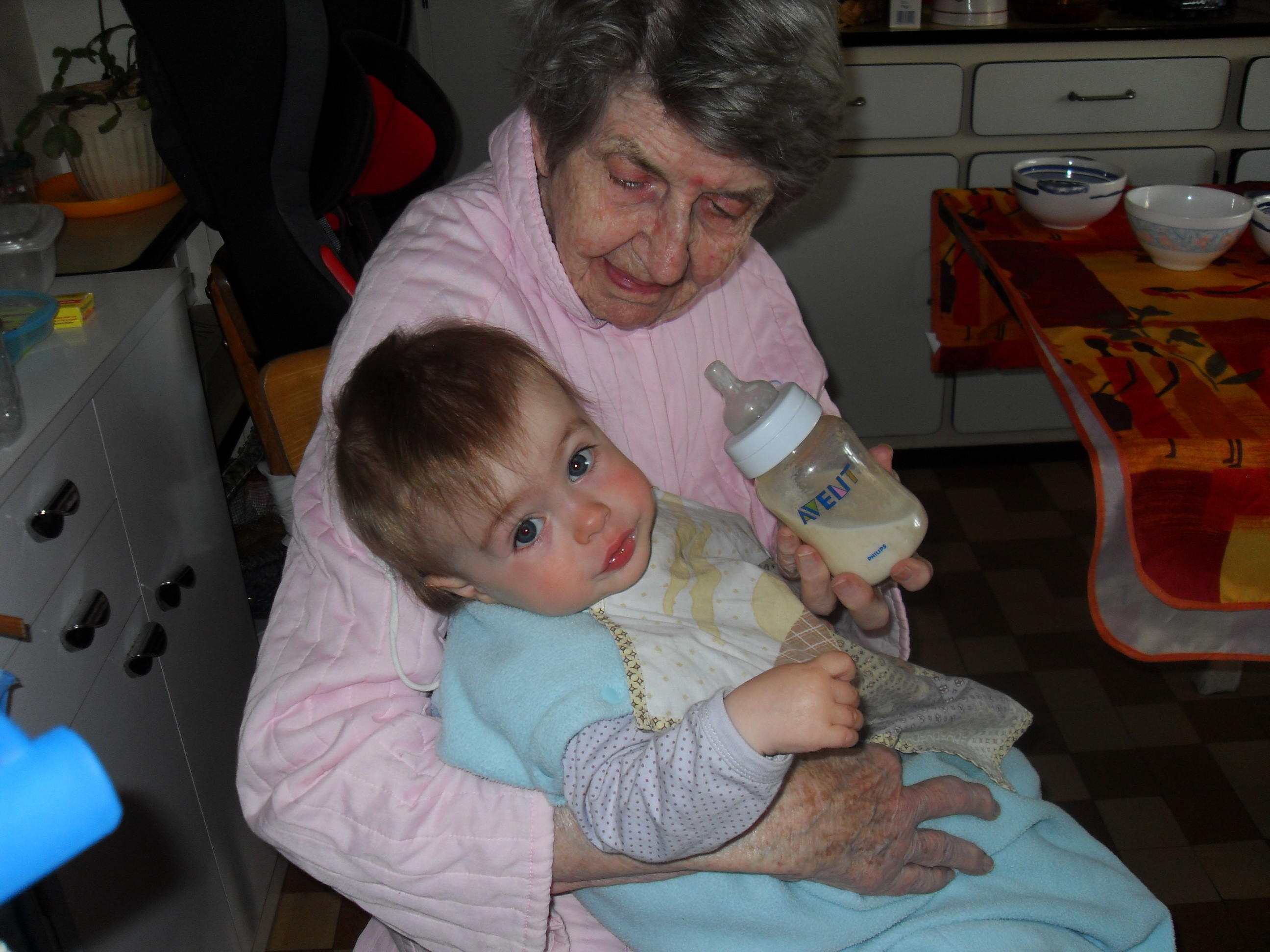 sdc15816.jpg