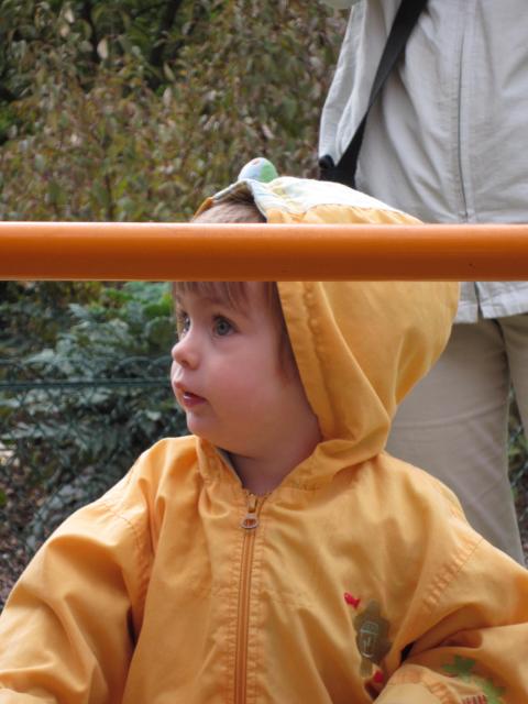 IMG_0136.JPG
