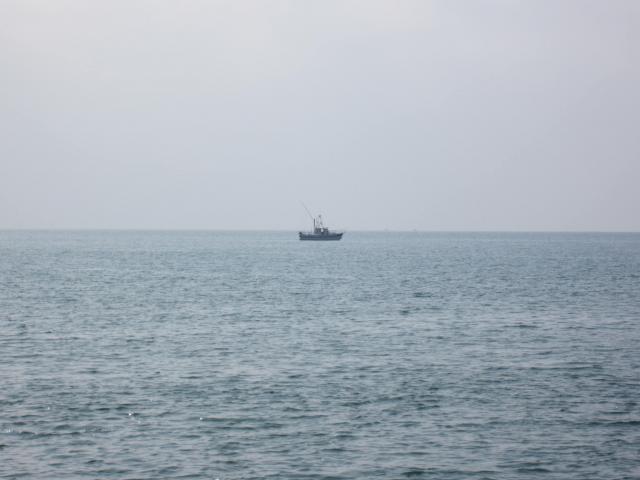 img_180.jpg