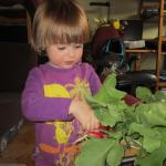 img_1287.jpg