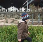 dscf0600.jpg