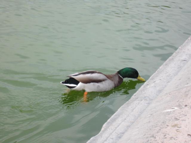 photos 01-2013 091.jpg