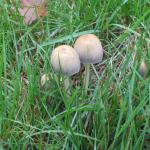 img_5858.jpg