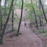 img_5956.jpg