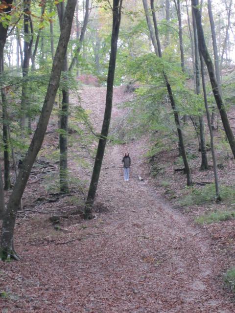 img_5956.jpg