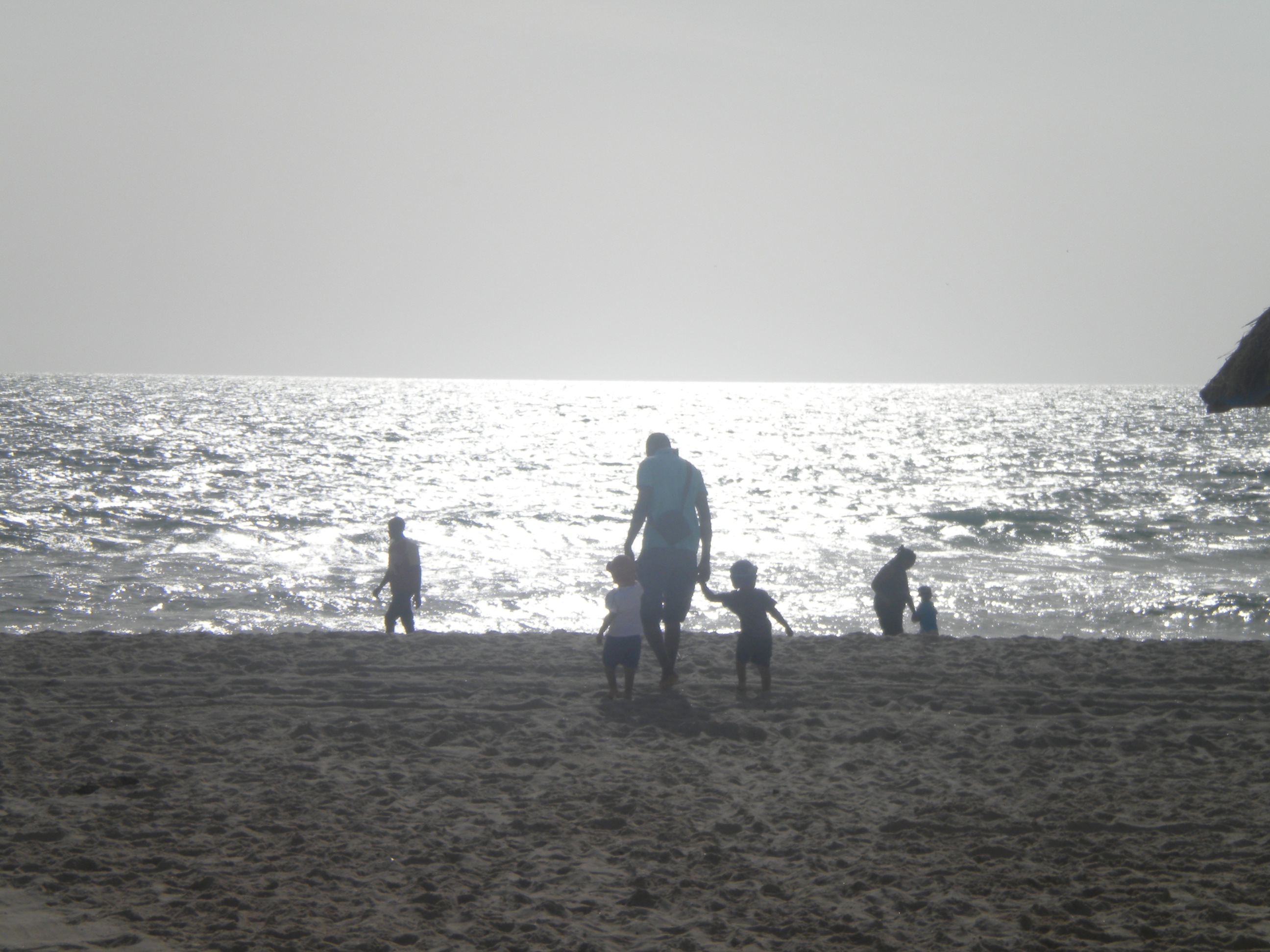 DSCN7775