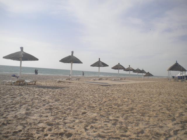 DSCN7777