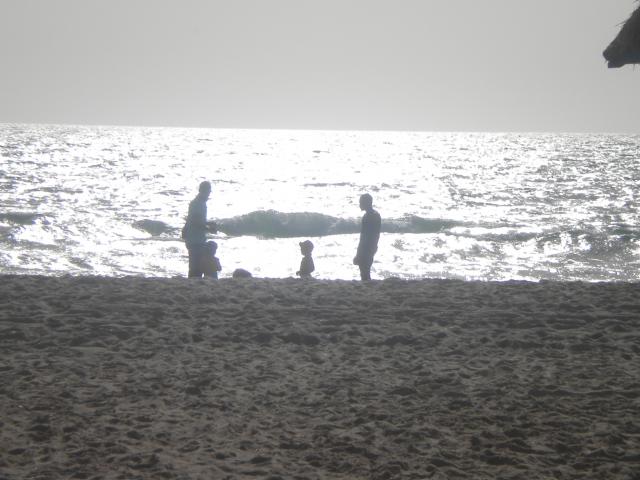 DSCN7779