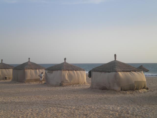DSCN7786