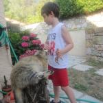 img_7275.jpg