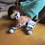 img_7750.jpg