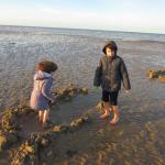 img_7764.jpg