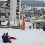 img_8239.jpg