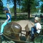 img_0186.jpg