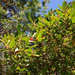 img_20161227-102846.jpg