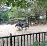 img_20161009_164239731.jpg
