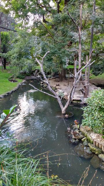 img_20161009_173752823_hdr.jpg