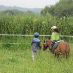 IMG_9296.JPG