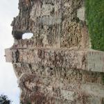 IMG_9337.JPG