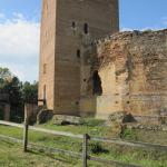 IMG_9346.JPG