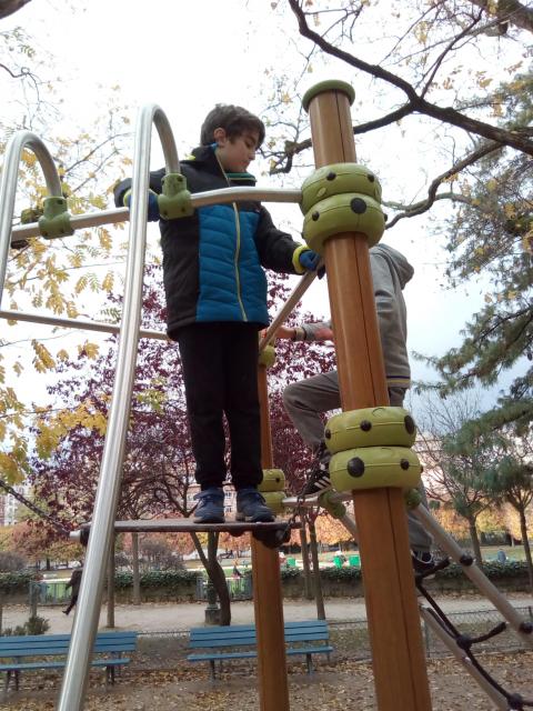 IMG_20171112_155059.jpg