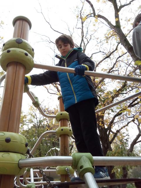 IMG_20171112_155110.jpg