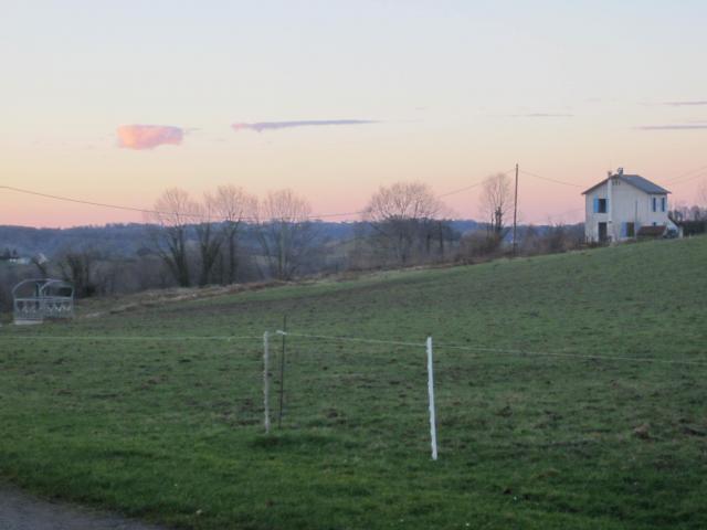 IMG_9621.JPG