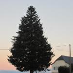 IMG_9623.JPG