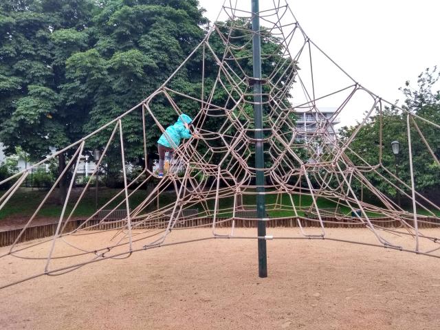 IMG_20190605_151042468_HDR.jpg