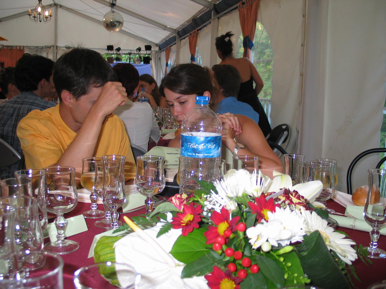 IMG_3647.jpg