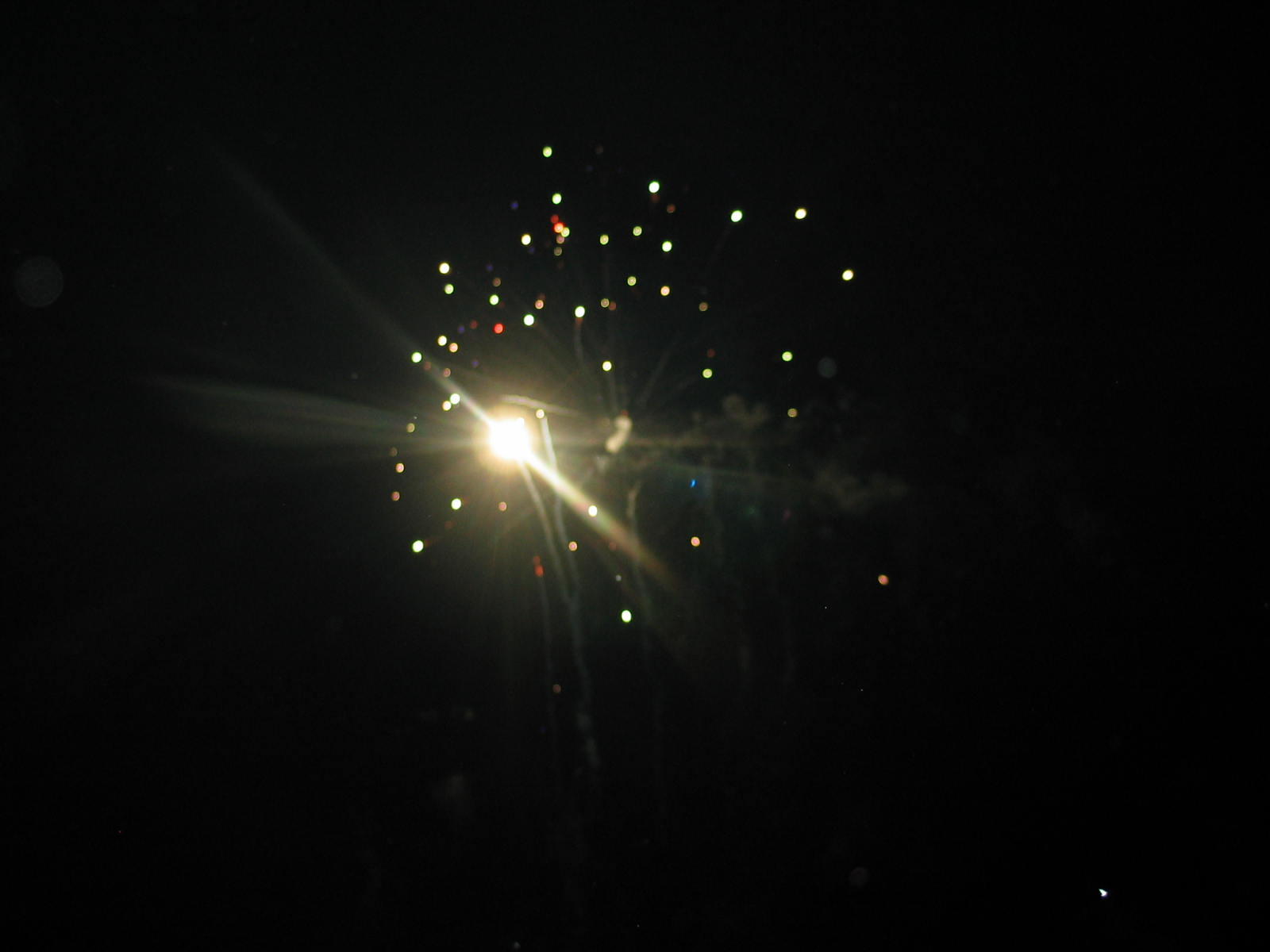 IMG_3675.jpg