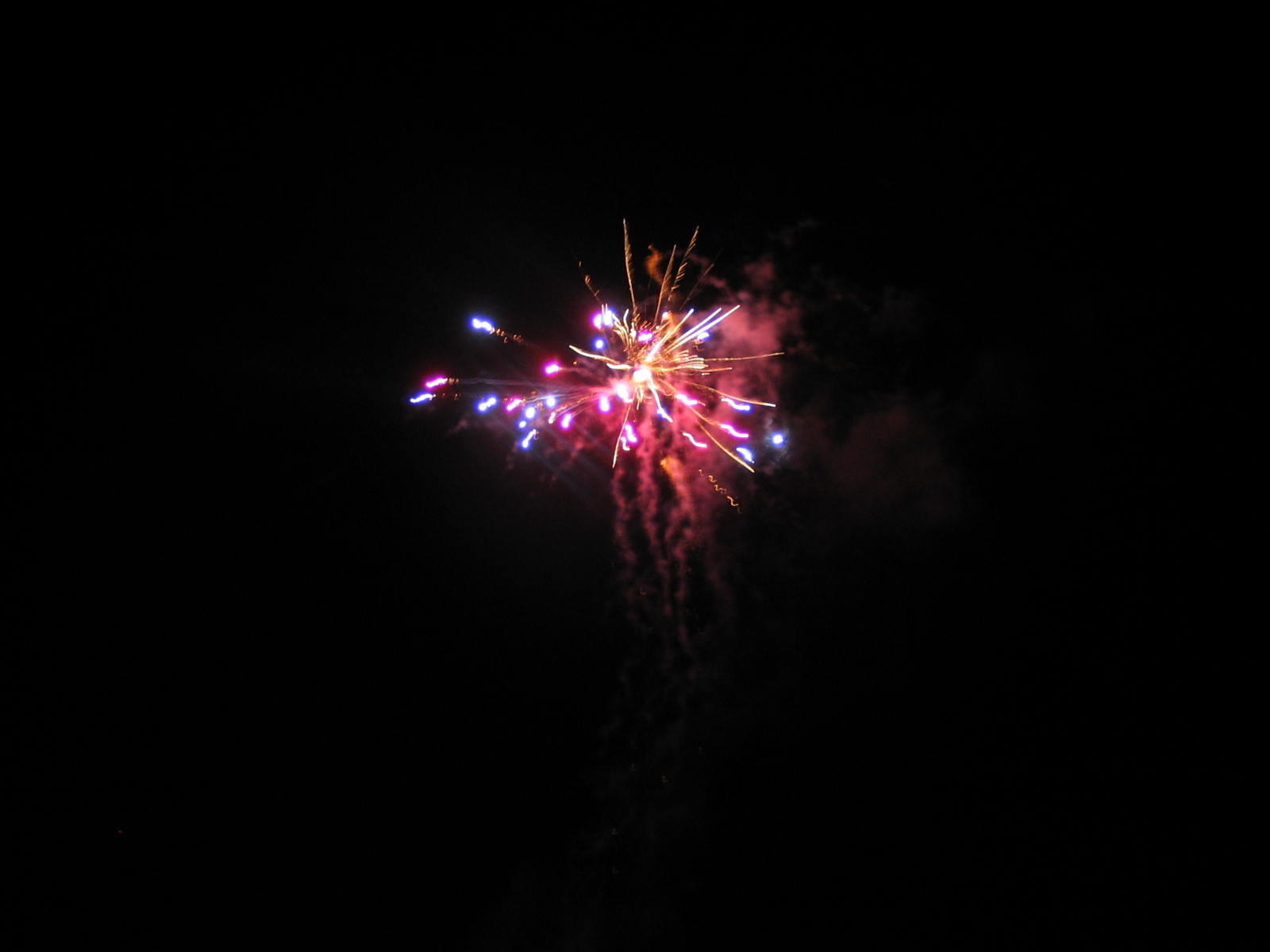 IMG_3677.jpg