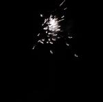 IMG_3683.jpg