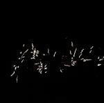 IMG_3686.jpg