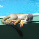 IMG_3039.jpg