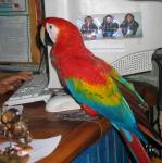 IMG_3056.jpg