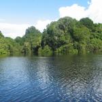 IMG_3120.jpg