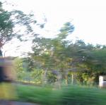 IMG_2540.jpg