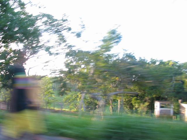 IMG_2540.jpg