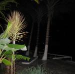 IMG_2553.jpg