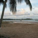 IMG_2828.jpg