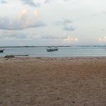 IMG_2829.jpg
