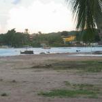 IMG_2830.jpg