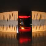 IMG_2884.jpg