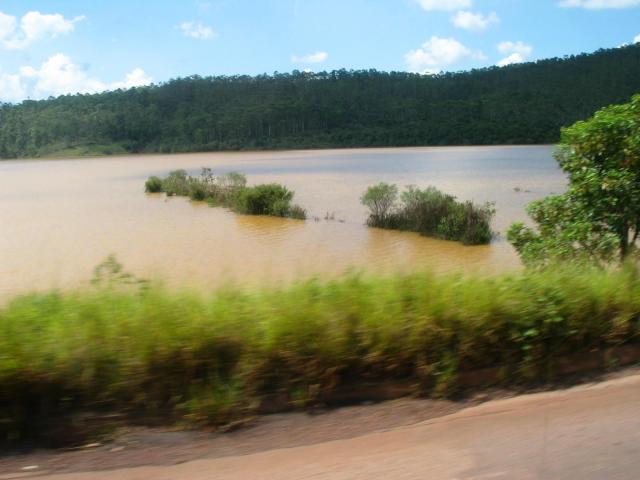IMG_2317.jpg